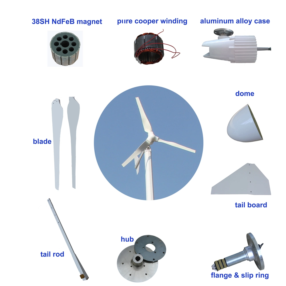 3kw Best Choise Best Choise Hotsale Aerogenerator Wind Dynamo Manufacturer