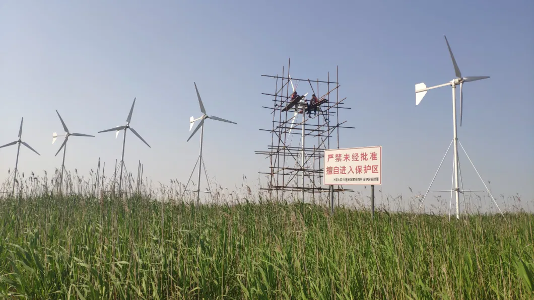 3kw China Best Choise Hotsale Wind Turbine Wind Generator Manufacturer